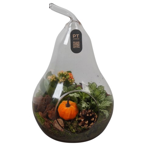 <h4>PTHG3414 Arrangementen kamerplanten</h4>