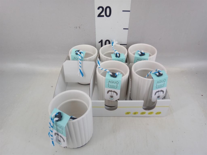 <h4>Pot   ...Keramische H%</h4>