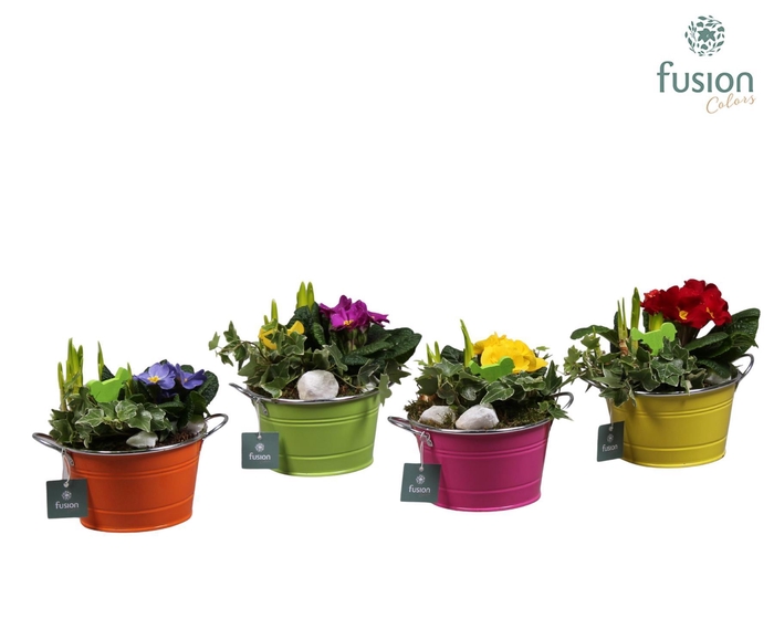 <h4>Schaal zink rond Voorjaar met Arrangement verschillende kleuren</h4>