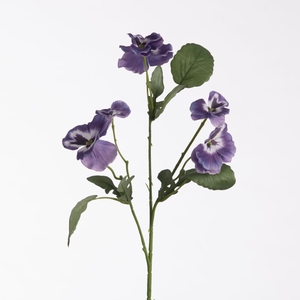 AF Viola L65cm Purple
