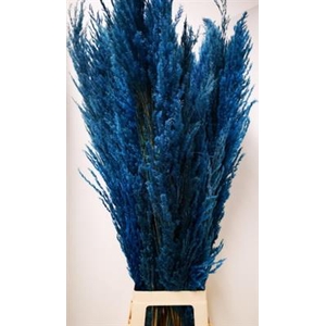CORTADERIA BLAUW X8 X8 PER BOS