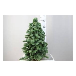 KERSTBOOM 60CM