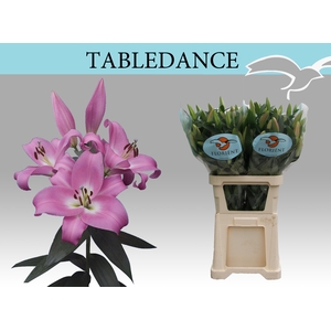 LI OT TABLEDANCE