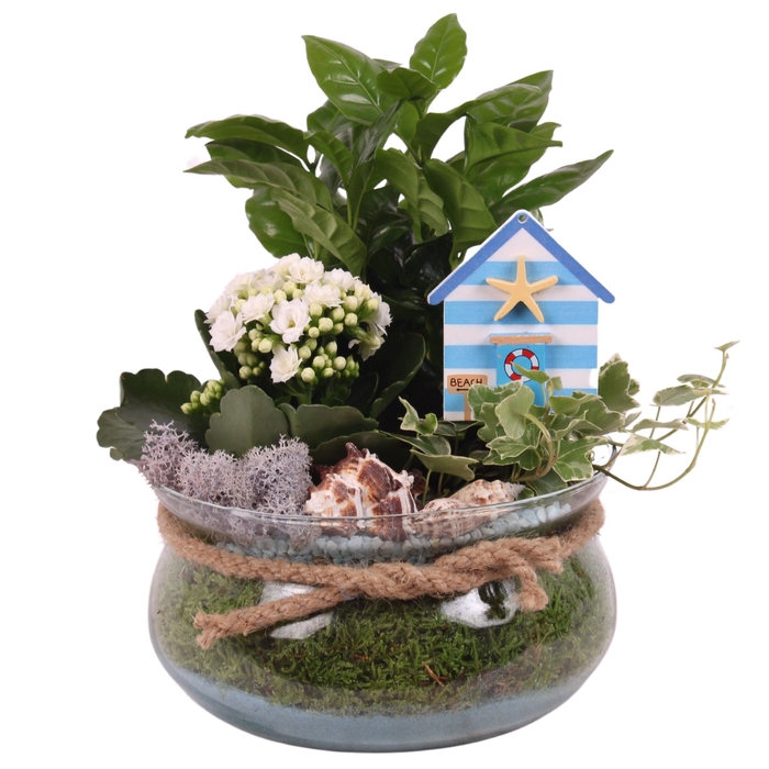 <h4>Opm Maritime Arr. Indoor Glass Bowl With Rope</h4>