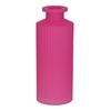 Bottle Caro16 d3.5/5.2xh13.2 fuchsi