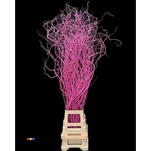 Salix 130cm Cerise