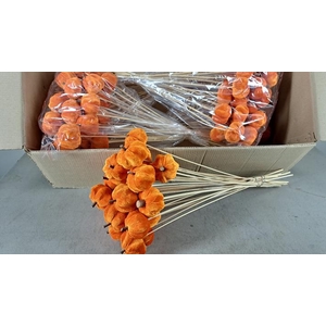 Stick Pumpkin 5/6cm Orange