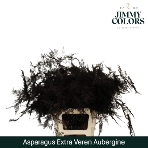 <h4>Aspa Extra Veren Aubergine</h4>