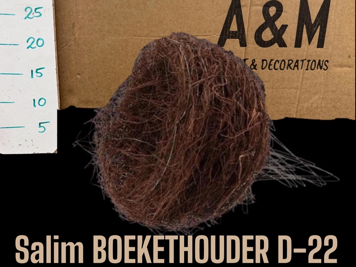 <h4>HUIS EN TUINDECO H%</h4>