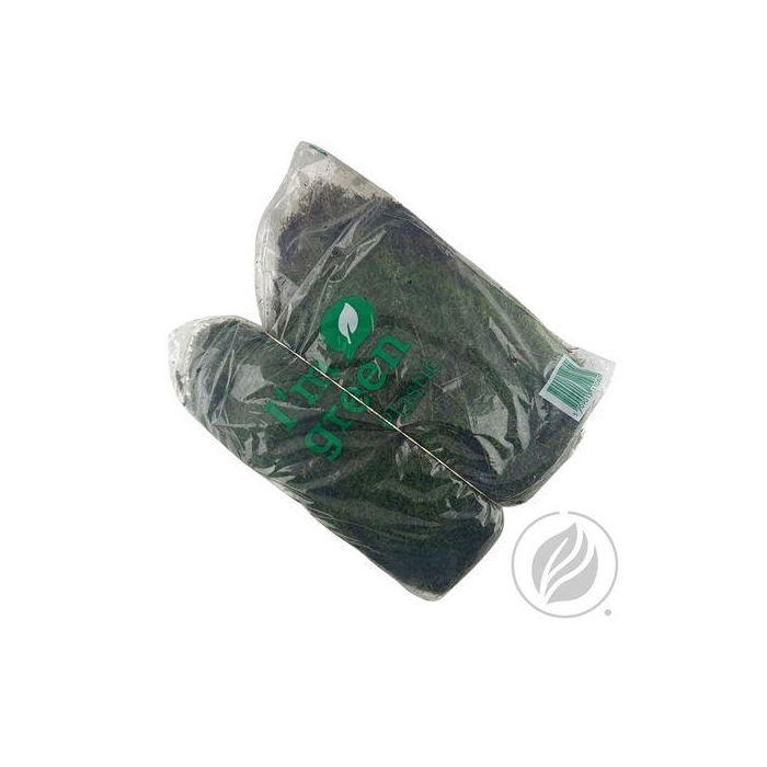 <h4>MOS PLATMOS (BAG)</h4>