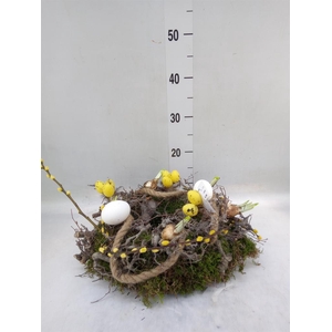 Planten  ..in schaal H%