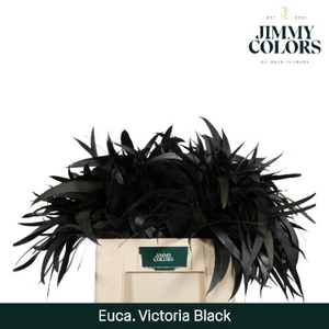 Victoriablad Gekleurd Klbh. Zwart