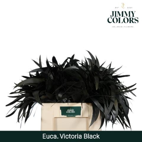 <h4>Victoriablad Gekleurd Klbh. Zwart</h4>