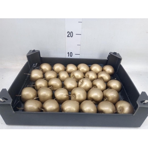 Decoratieve materialen   ...H%