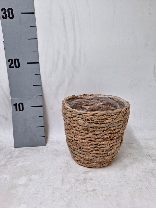 <h4>KERAMISCHE POT H%</h4>