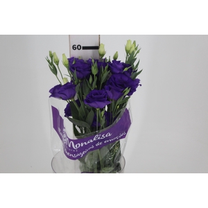 LISIANTHUS ROSITA III BLUE ROXO 060 CM