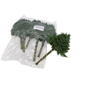 Lederv. Small V P X5