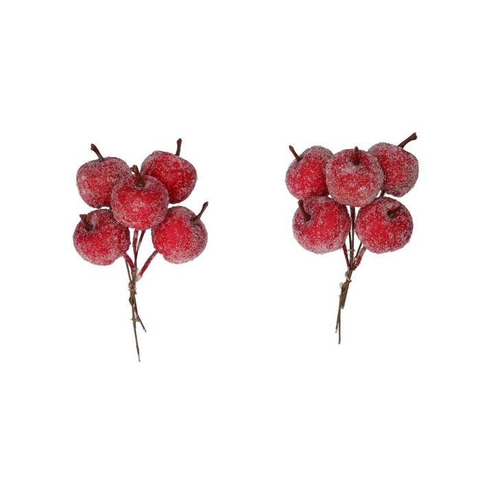 <h4>Herfst Appel frosted/draad d3cm x20</h4>