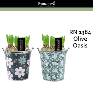 Hya Rom 1384 Olive Oasis