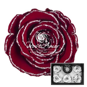 Pr 1 Glitter Silver Red01 Xl