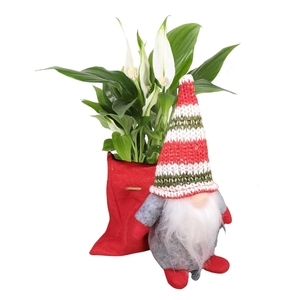 Spath Pearl Cupido Stoffen Kerstgnoom