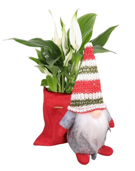 <h4>Spath Pearl Cupido Stoffen Kerstgnoom</h4>