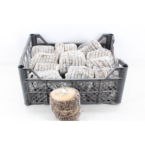 arr3 GB - Berken schijfjes in net 8pcs