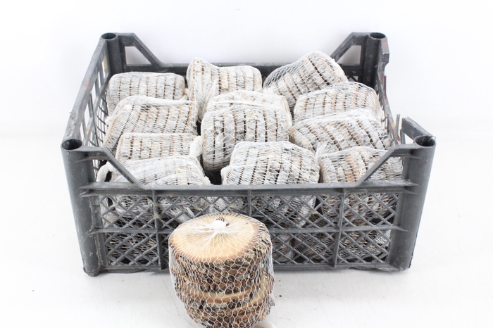 <h4>arr3 GB - Berken schijfjes in net 8pcs</h4>