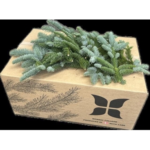 NOBILIS LILABAND VEERTJES 8KG