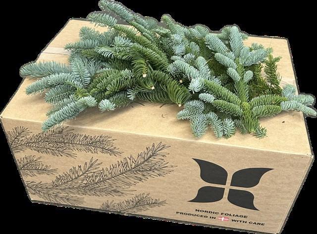 <h4>NOBILIS LILABAND VEERTJES 8KG</h4>