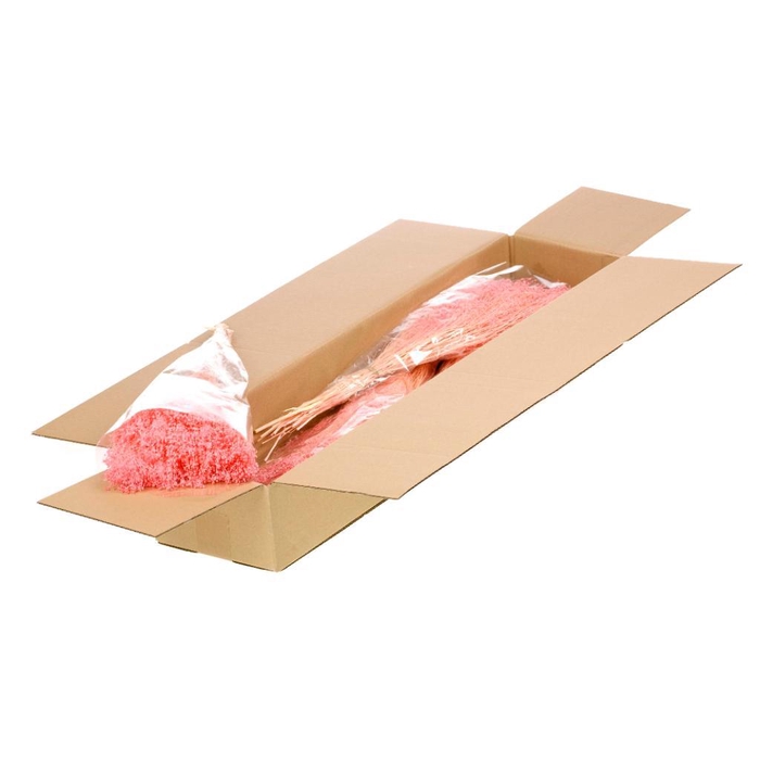 <h4>Broom Bloom Bunch Preserved Sb Bleached Pink</h4>