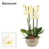 Faya 6 tak symphony white (Deco-collection)