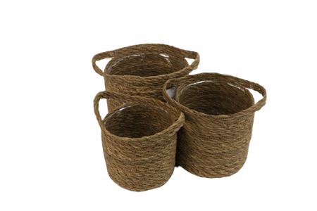 <h4>Basket Dash Grass S2</h4>