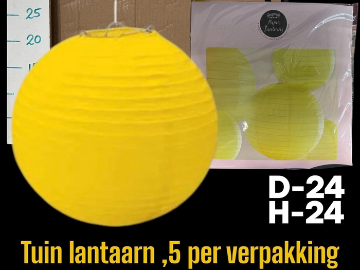 <h4>HUIS EN TUINDECO H%</h4>