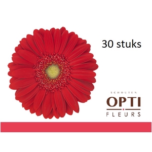 GE GR CARAMBOLE-Doosx30