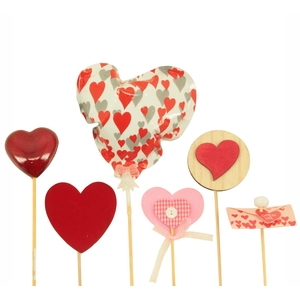 Anthurium Diverse bijstekers Valentijn