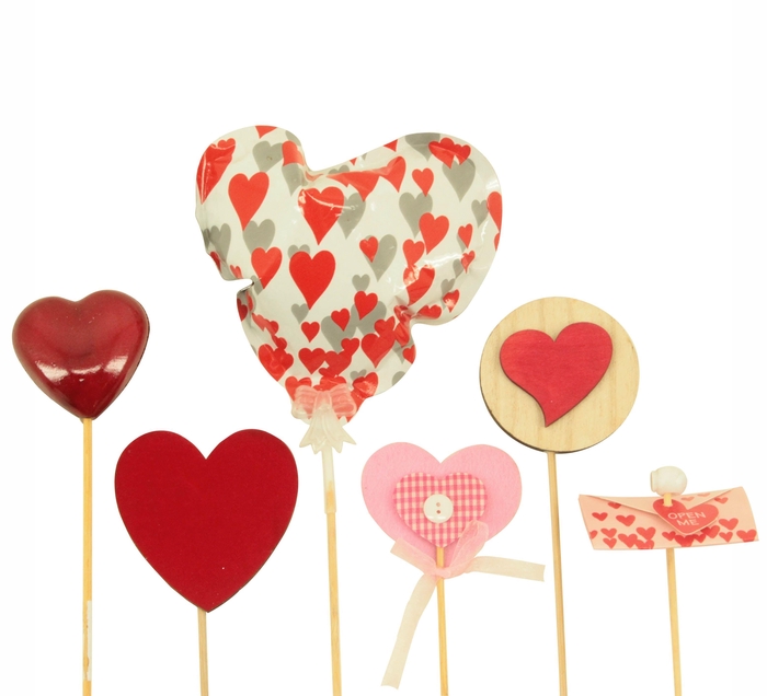 <h4>Anthurium Diverse bijstekers Moederdag</h4>