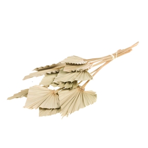 Palmspear 10pc Natural
