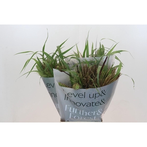 Siergrassen Gemengd in Fust