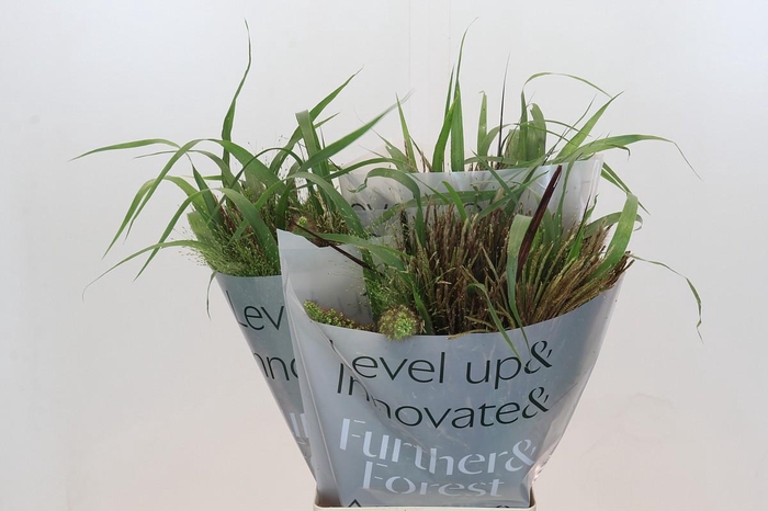 Grasses mix in bucket