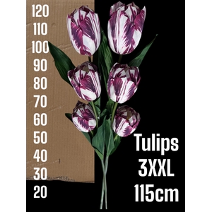HUIS EN TUINDECO H%