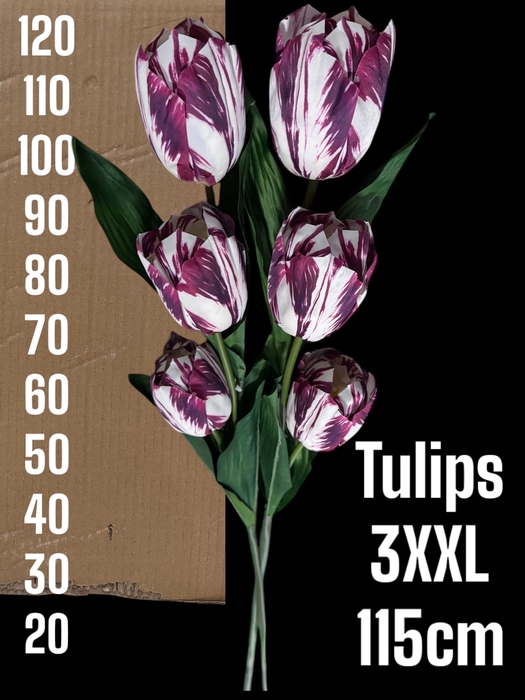 <h4>HUIS EN TUINDECO H%</h4>