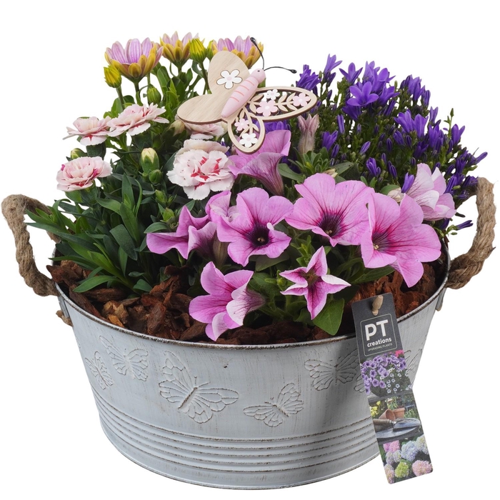 <h4>PTPP6814 Arrangement Patio in metalen bak</h4>