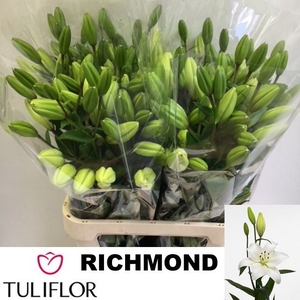 LI LA RICHMOND