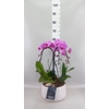 Arr.    Planten  H%