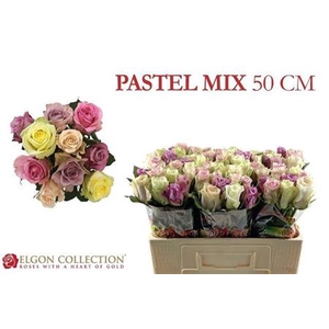Rosa grootbloemig +Pastelmix gemengd in bos