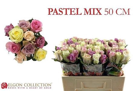 <h4>Rosa grootbloemig +Pastelmix gemengd in bos</h4>