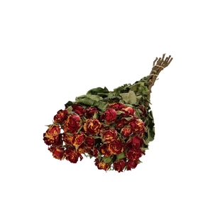 Dried flowers Rose spray 40cm x10