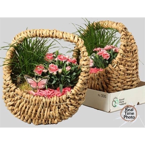 ARR TUINPLANTEN