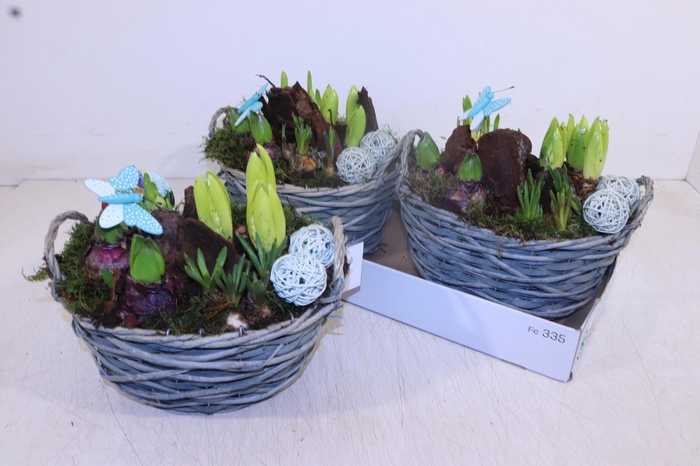 <h4>ARR BOL KNOLGEWAS</h4>